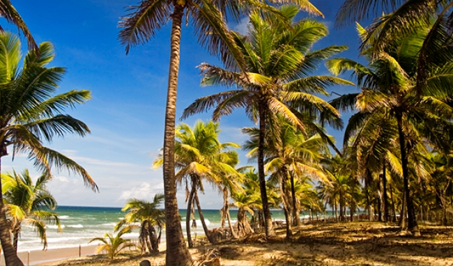 Costa do Sauipe / Praia do Forte Verano 2020
