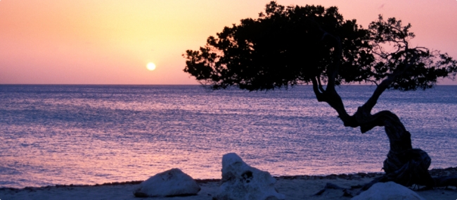 Aruba Salidas en Septiembre y Octubre