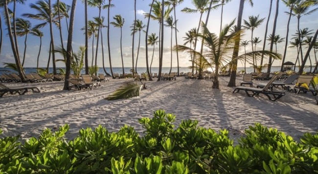 Punta Cana Verano 2020