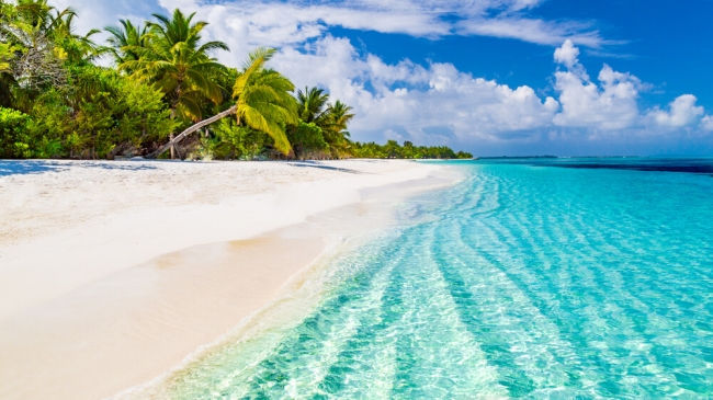 Bahamas Temporada Baja