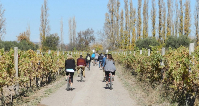 Mendoza Wine Bike Tour Promo exclusiva de Baja Temporada