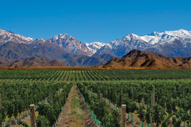 Mendoza Feriado de Mayo 2021 Terrestre