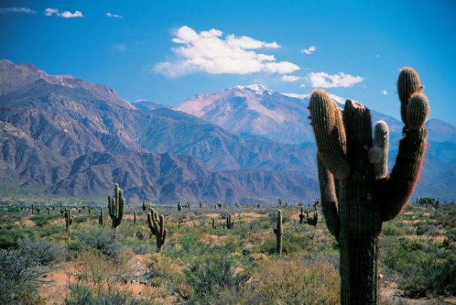 Jujuy y Salta Verano 2024 Cupos Ok