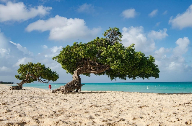 Aruba Octubre y Noviembre