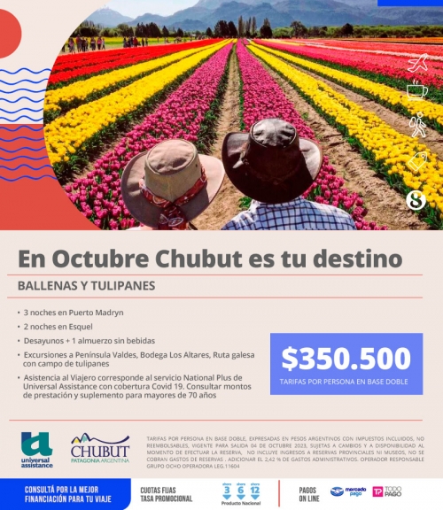 Ballenas y Tulipanes en Chubut