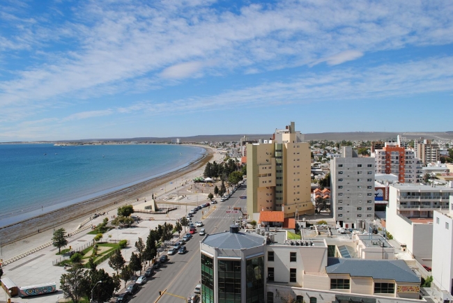 Ballenas y Tulipanes en Chubut