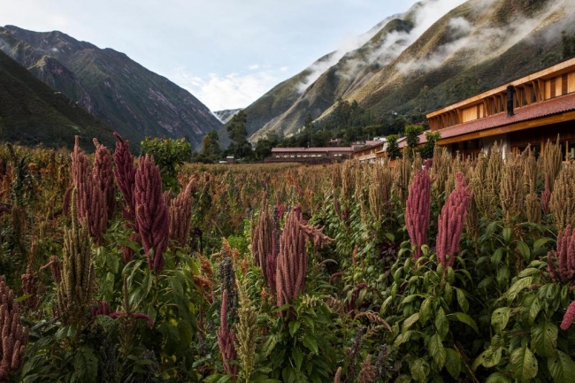 Experiencia Explora Valle Sagrado