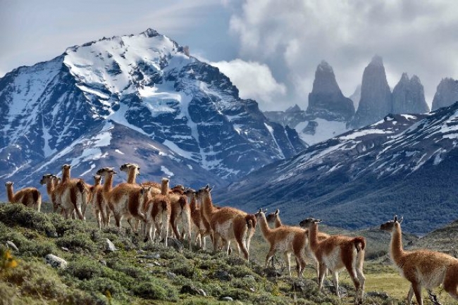 Experiencia Explora Torres del Paine